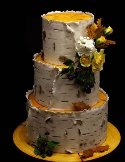 Silver-Birch-Wedding-Cake-East-Yorkshire